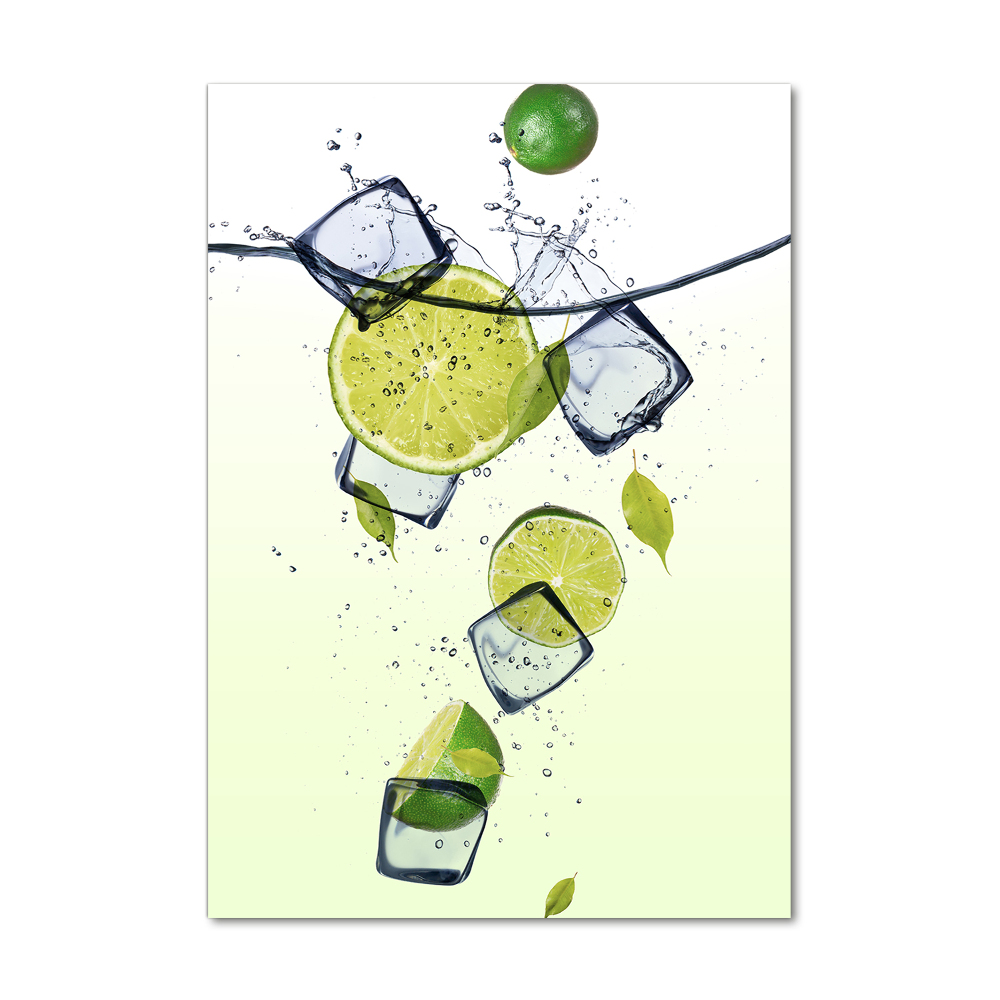 Print on acrylic Lime and ice