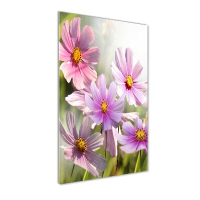 Print on acrylic Field flowers