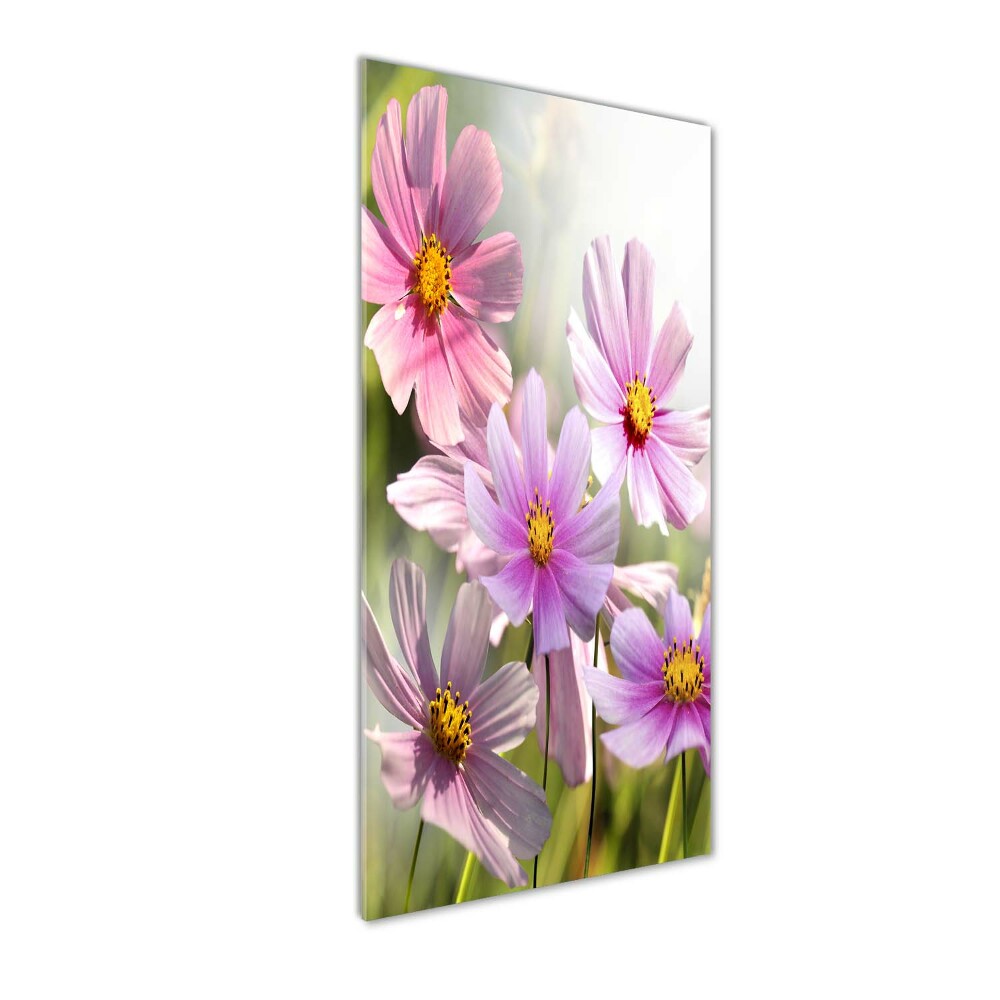 Print on acrylic Field flowers