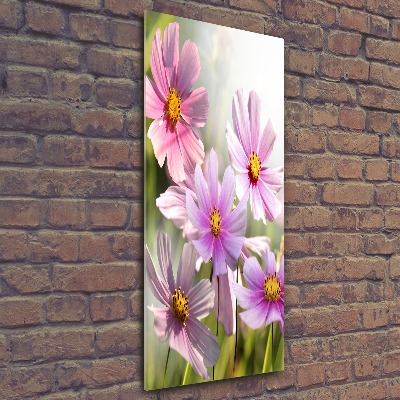 Print on acrylic Field flowers