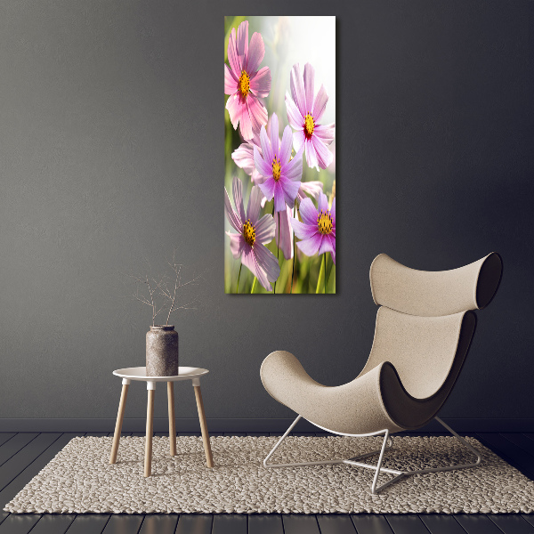 Print on acrylic Field flowers