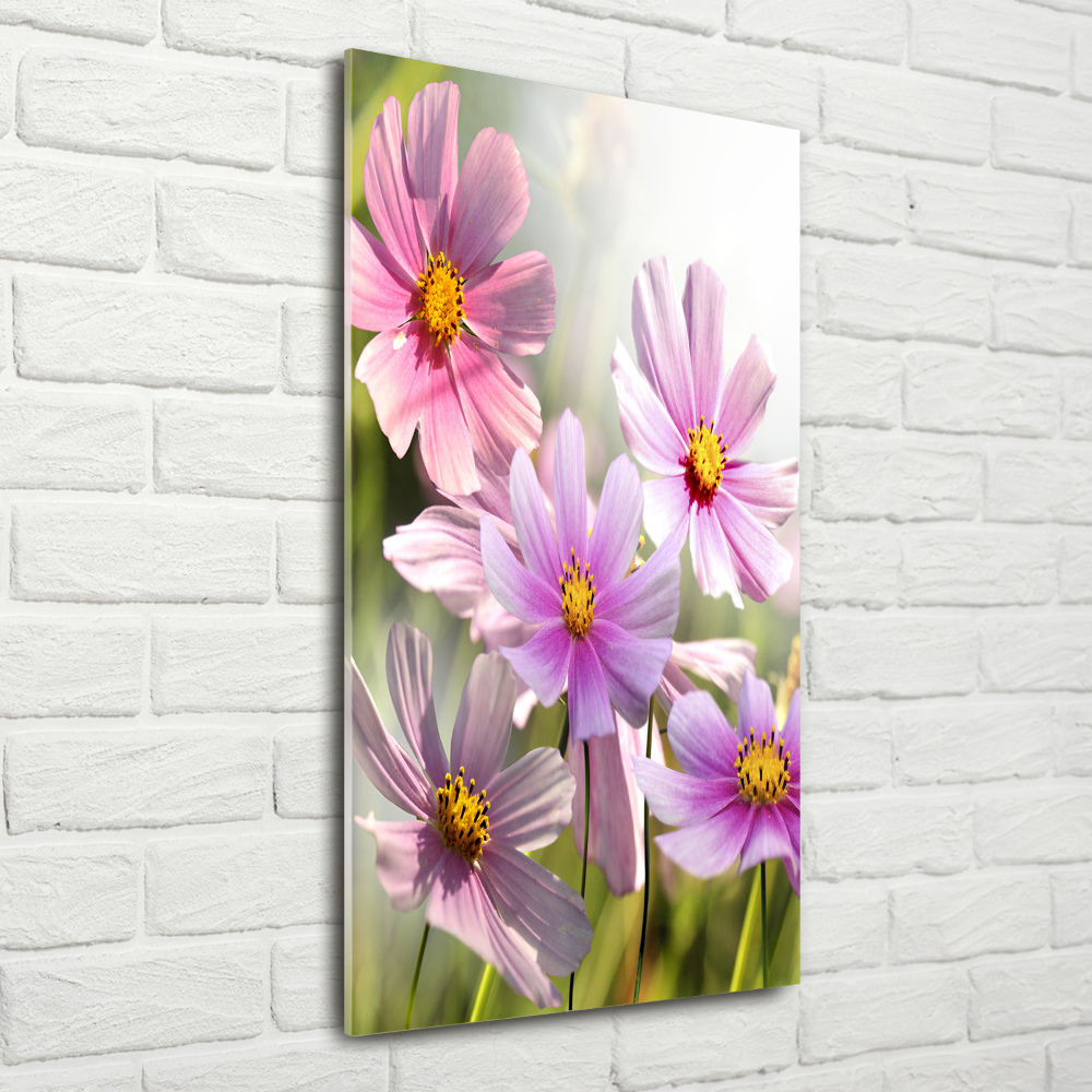 Print on acrylic Field flowers