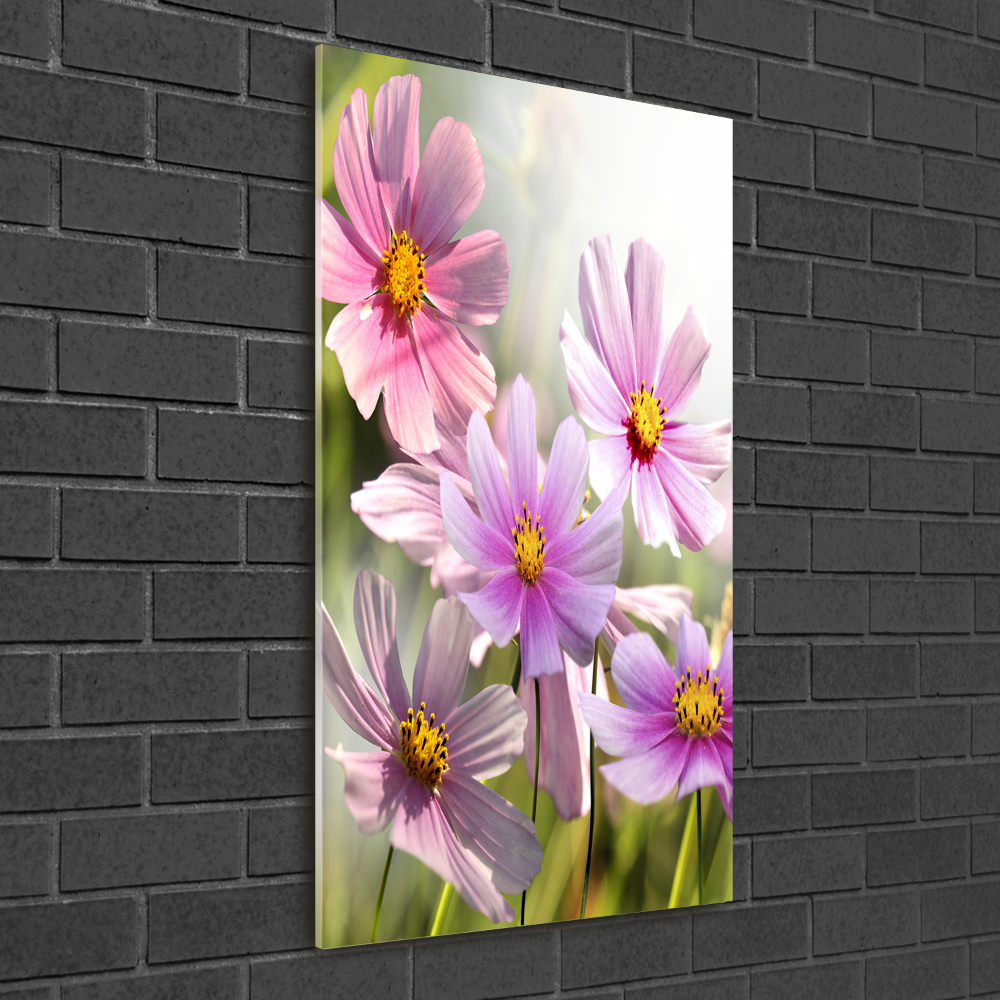 Print on acrylic Field flowers