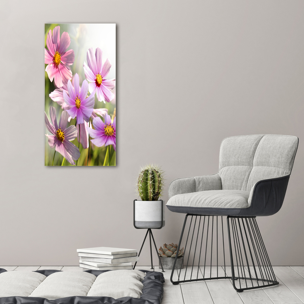 Print on acrylic Field flowers