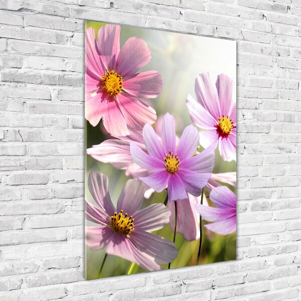 Print on acrylic Field flowers