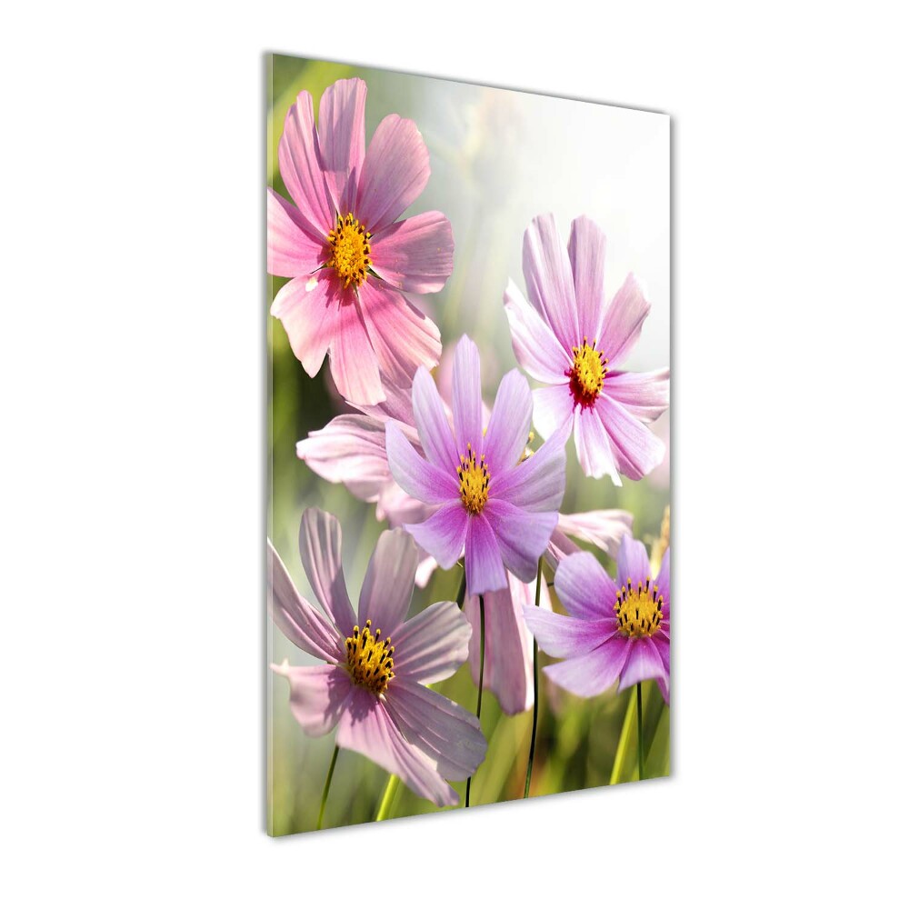 Print on acrylic Field flowers