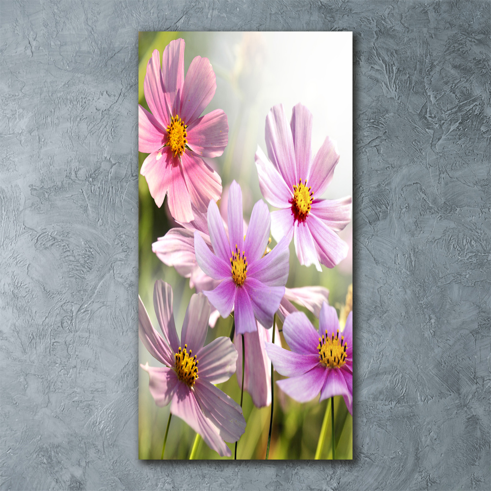 Print on acrylic Field flowers