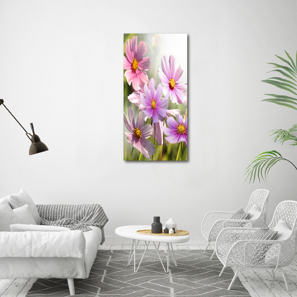 Print on acrylic Field flowers