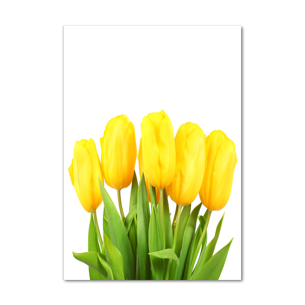 Print on acrylic Yellow tulips