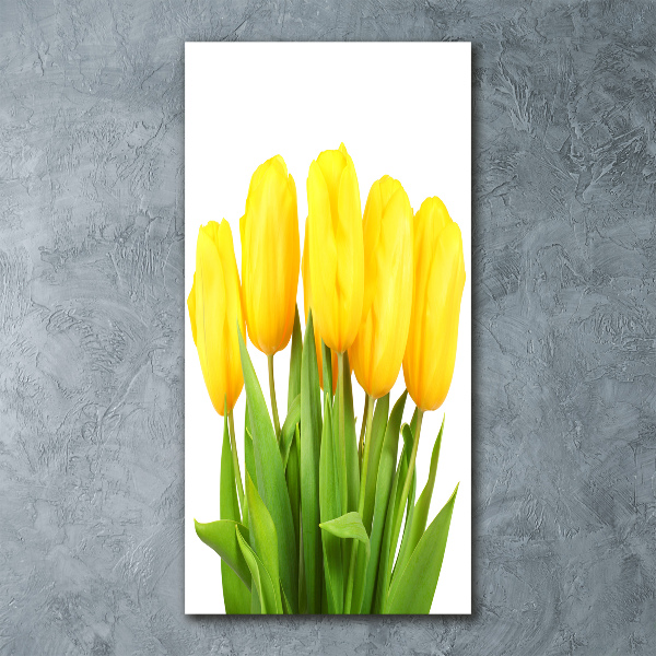 Print on acrylic Yellow tulips