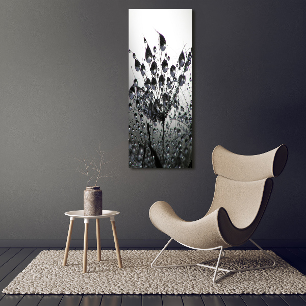 Print on acrylic Dandelion seeds