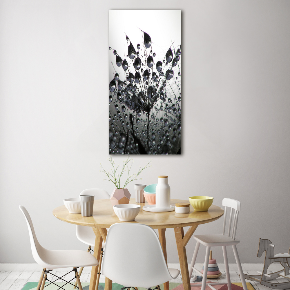 Print on acrylic Dandelion seeds