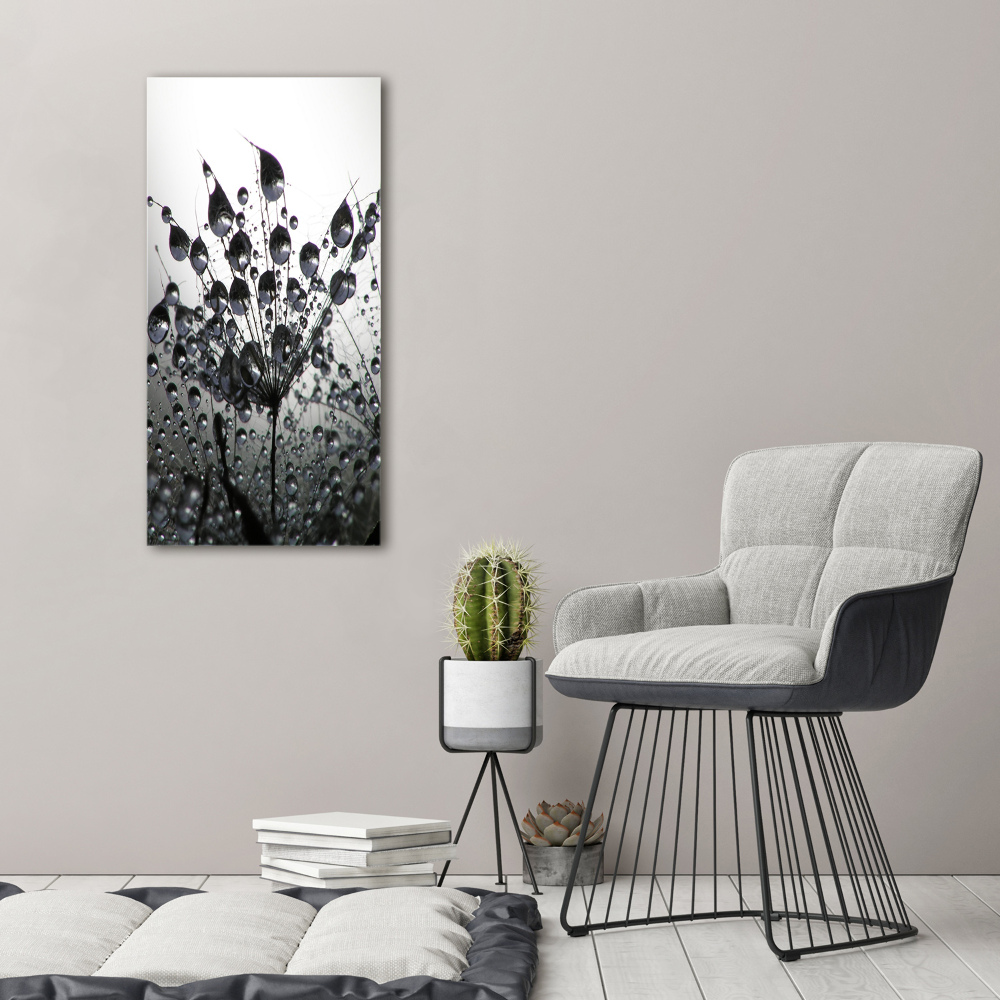 Print on acrylic Dandelion seeds