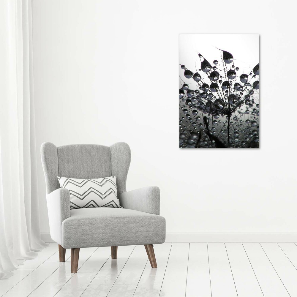 Print on acrylic Dandelion seeds