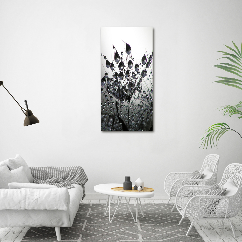 Print on acrylic Dandelion seeds