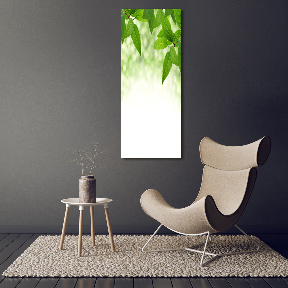 Acrylic print Green leaves