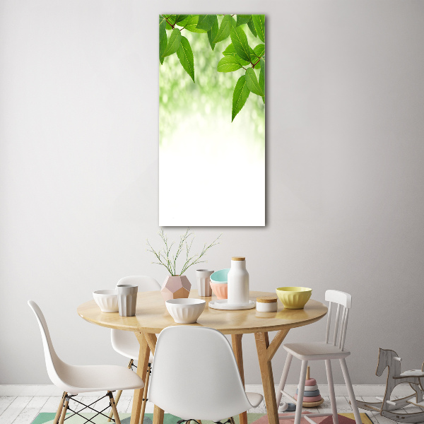 Acrylic print Green leaves