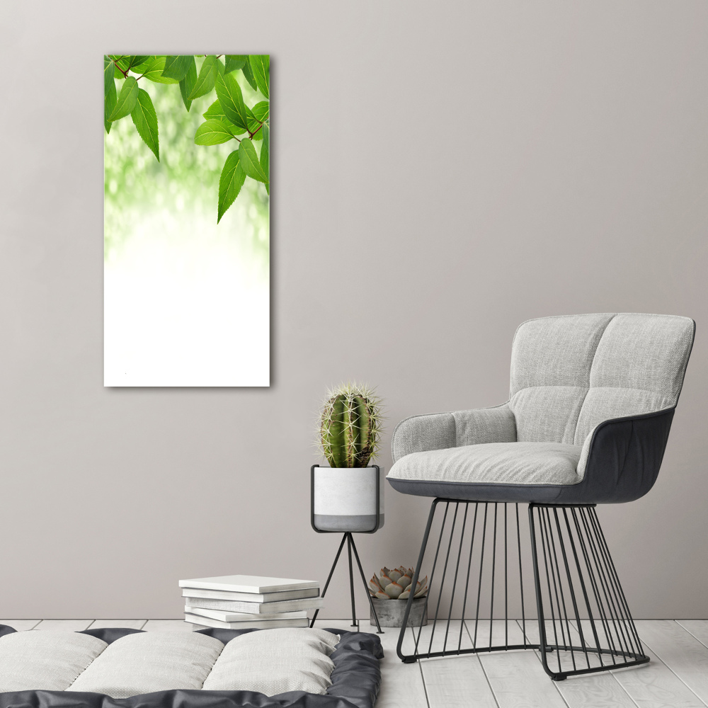 Acrylic print Green leaves