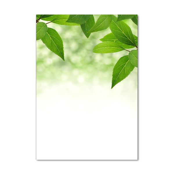 Acrylic print Green leaves