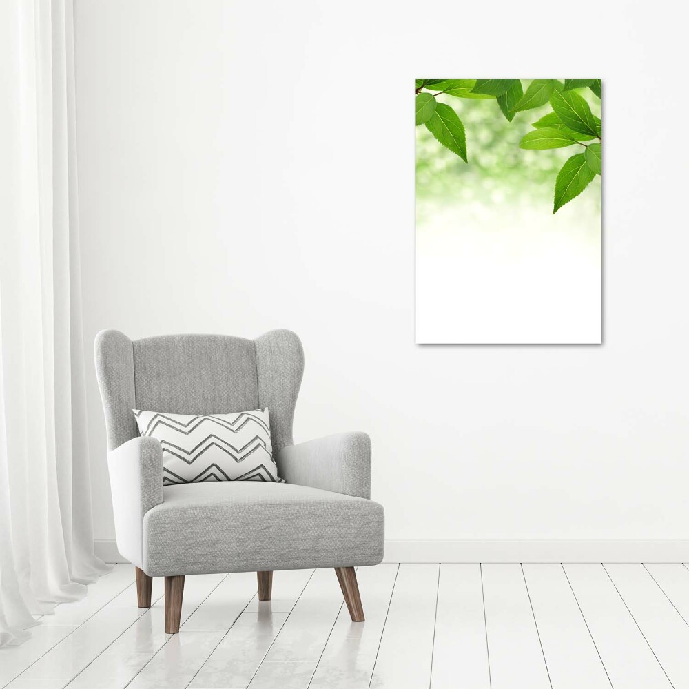 Acrylic print Green leaves