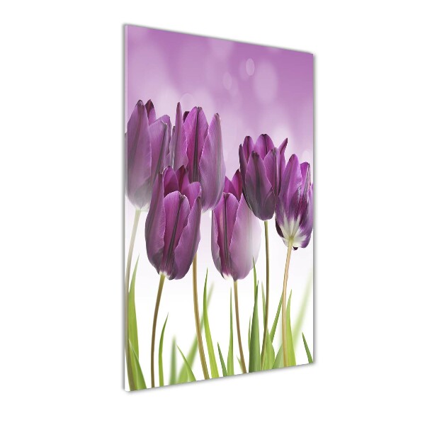 Acrylic print Violet tulips