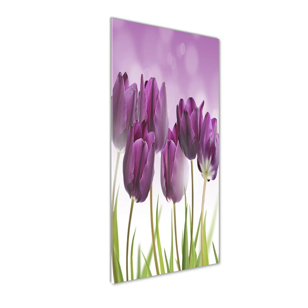 Acrylic print Violet tulips