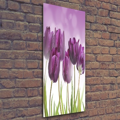 Acrylic print Violet tulips