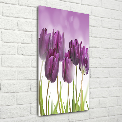 Acrylic print Violet tulips