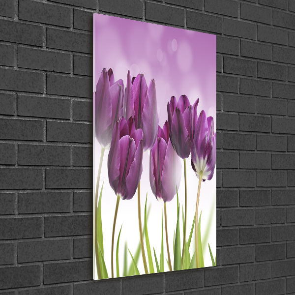 Acrylic print Violet tulips