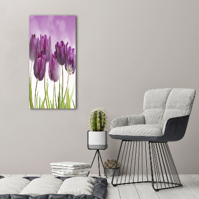 Acrylic print Violet tulips