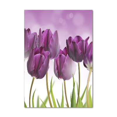 Acrylic print Violet tulips