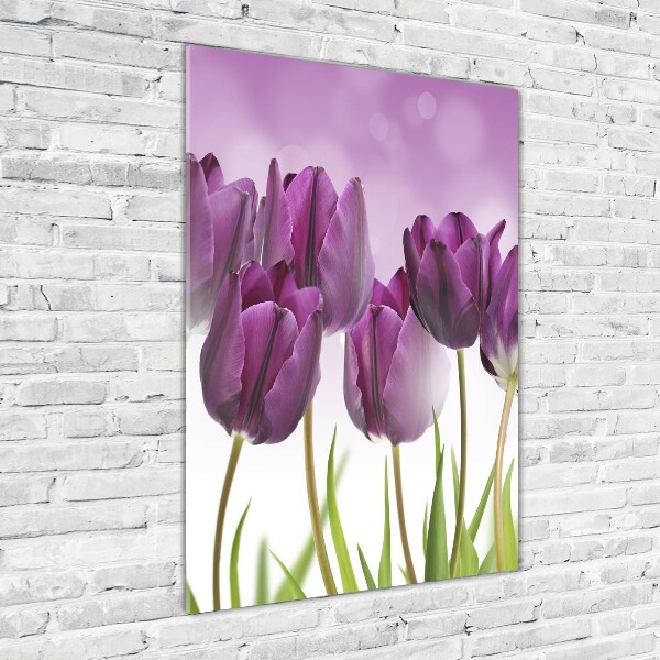 Acrylic print Violet tulips