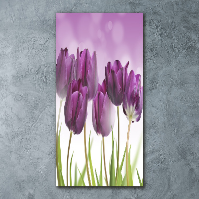 Acrylic print Violet tulips