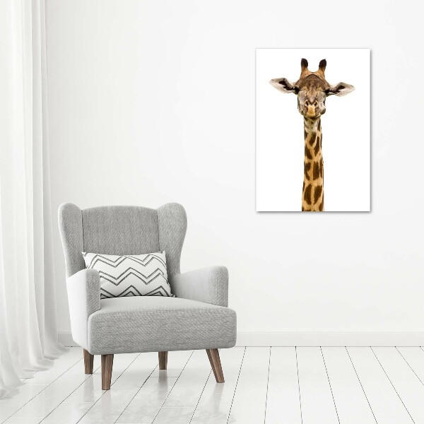 Acrylic print Giraffe