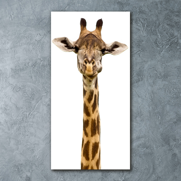 Acrylic print Giraffe