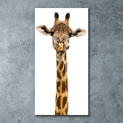 Acrylic print Giraffe