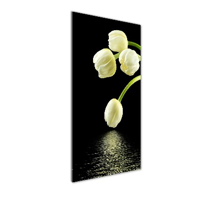 Acrylic print White tulips