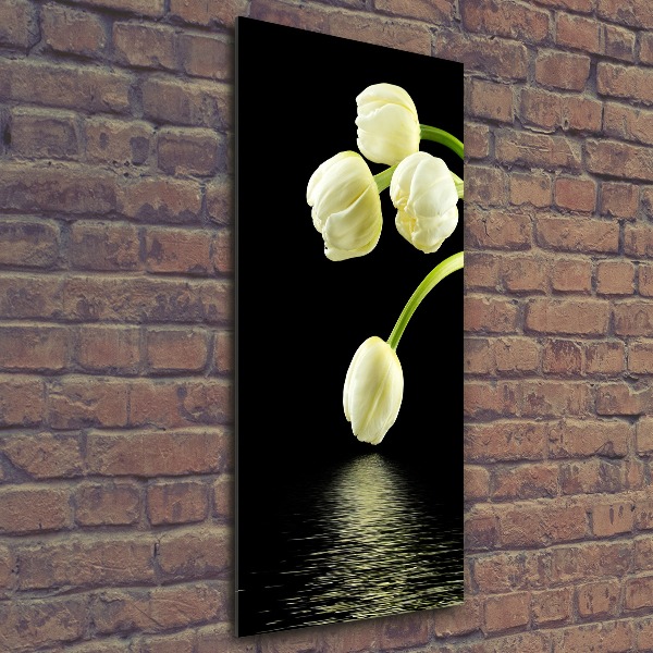 Acrylic print White tulips