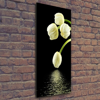 Acrylic print White tulips