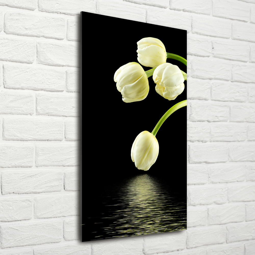 Acrylic print White tulips