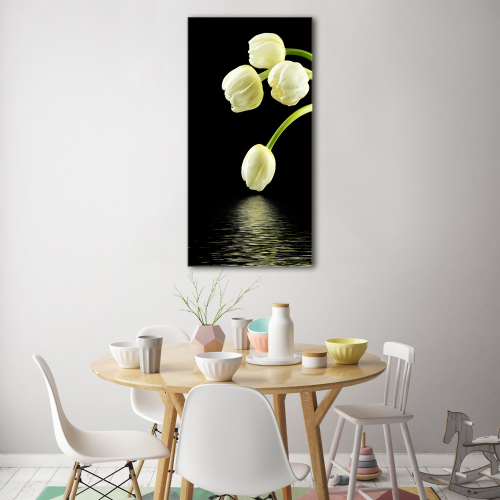 Acrylic print White tulips