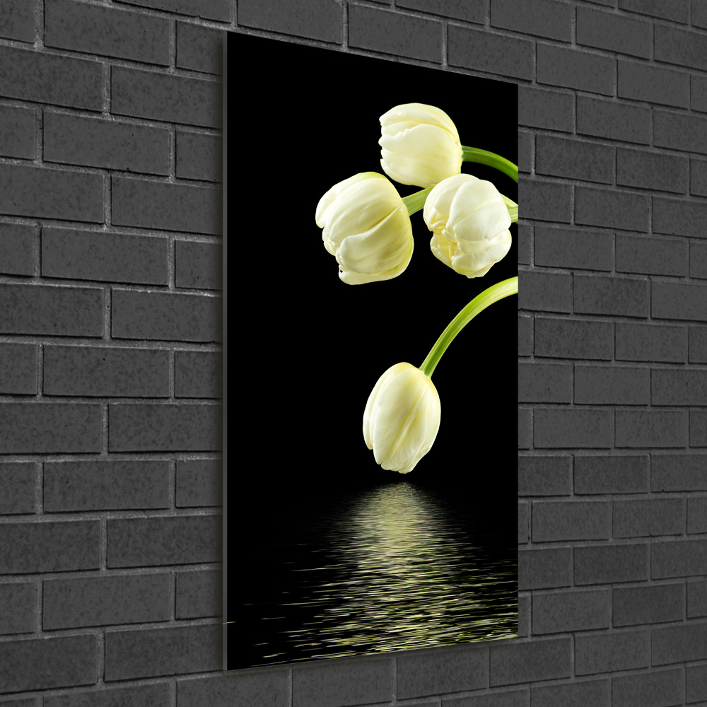 Acrylic print White tulips