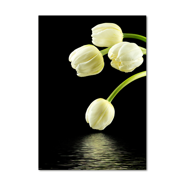 Acrylic print White tulips