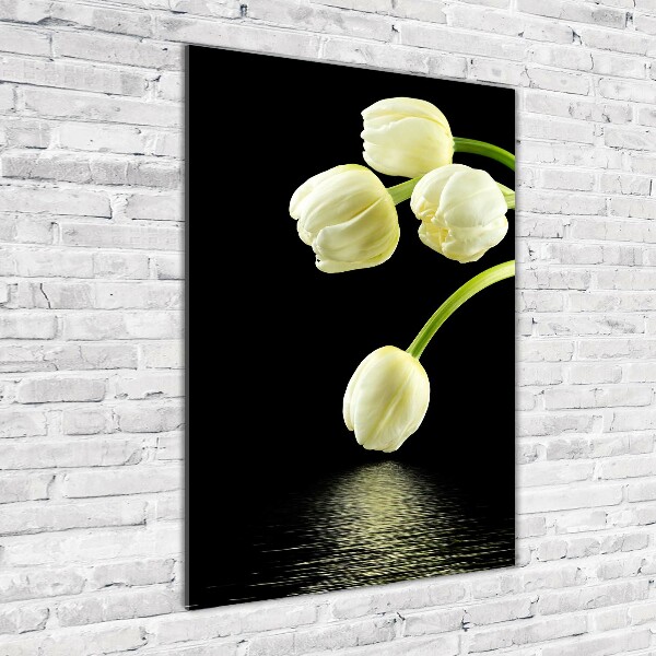 Acrylic print White tulips