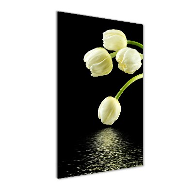 Acrylic print White tulips