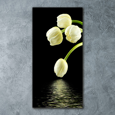 Acrylic print White tulips