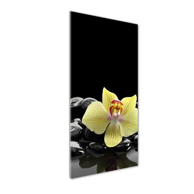 Print on acrylic glass Orchid and stones