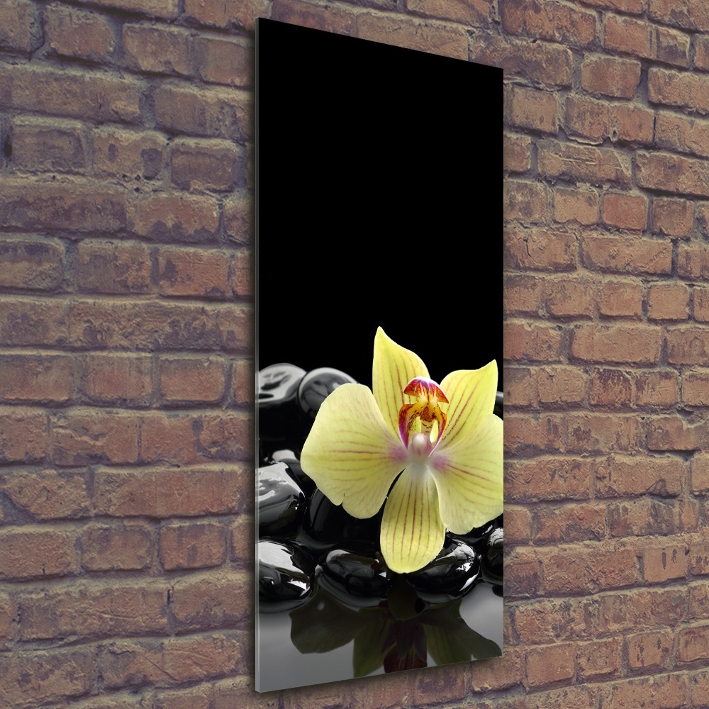 Print on acrylic glass Orchid and stones