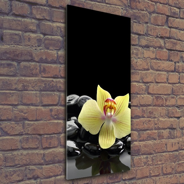 Print on acrylic glass Orchid and stones