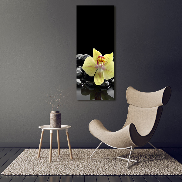 Print on acrylic glass Orchid and stones